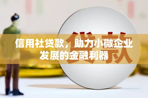 枋寮信用社贷款，助力小微企业发展的金融利器