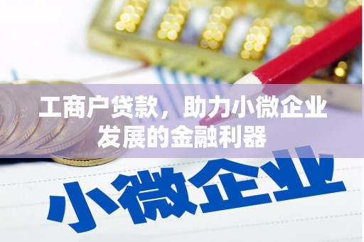 枋寮工商户贷款，助力小微企业发展的金融利器