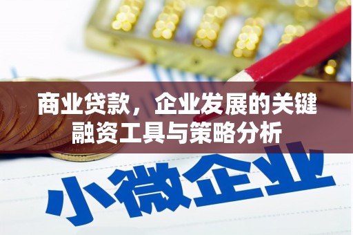 枋寮商业贷款，企业发展的关键融资工具与策略分析