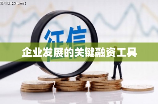 枋寮企业发展的关键融资工具