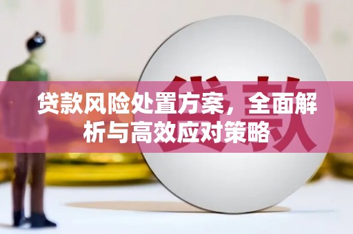 枋寮贷款风险处置方案，全面解析与高效应对策略