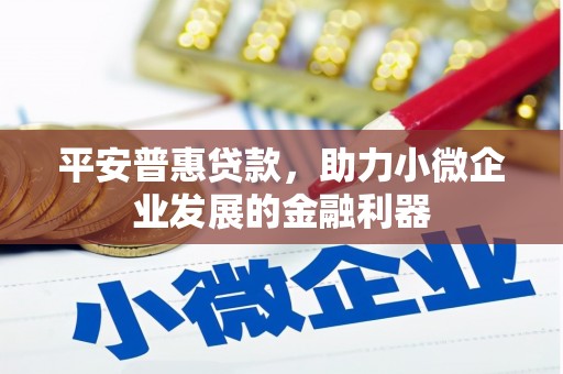 枋寮平安普惠贷款，助力小微企业发展的金融利器