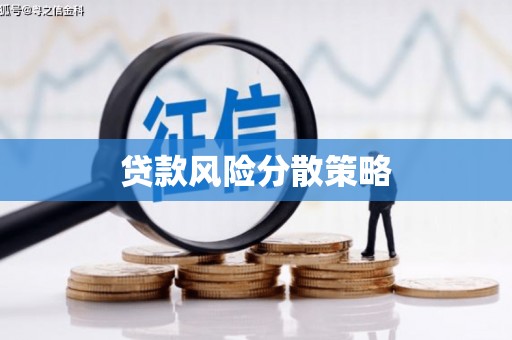 枋寮贷款风险分散策略