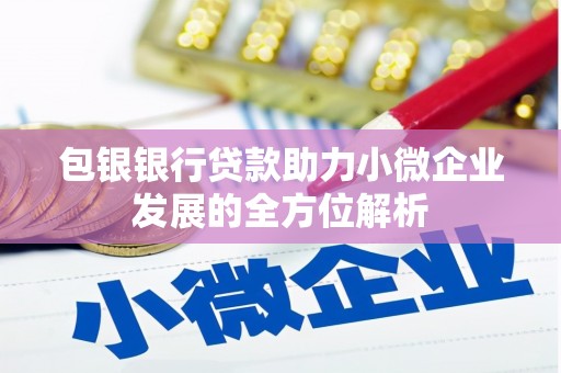 枋寮包银银行贷款助力小微企业发展的全方位解析