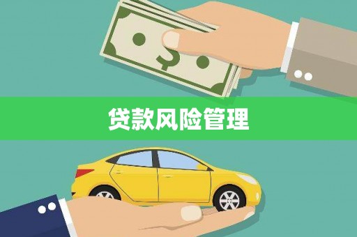 枋寮贷款风险管理