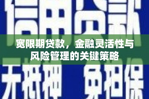枋寮宽限期贷款，金融灵活性与风险管理的关键策略