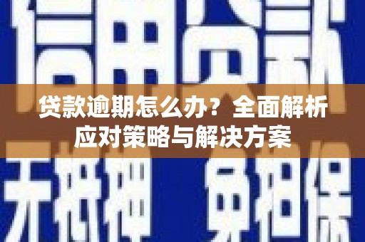 枋寮贷款逾期怎么办？全面解析应对策略与解决方案