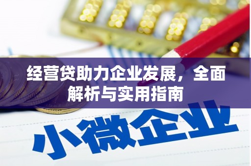 枋寮经营贷助力企业发展，全面解析与实用指南