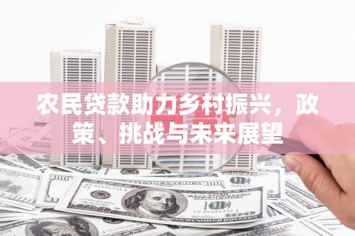 枋寮农民贷款助力乡村振兴，政策、挑战与未来展望