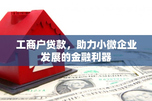 枋寮工商户贷款，助力小微企业发展的金融利器