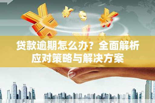 枋寮贷款逾期怎么办？全面解析应对策略与解决方案