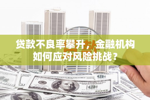 枋寮贷款不良率攀升，金融机构如何应对风险挑战？