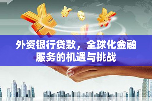 枋寮外资银行贷款，全球化金融服务的机遇与挑战