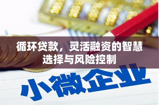 枋寮循环贷款，灵活融资的智慧选择与风险控制