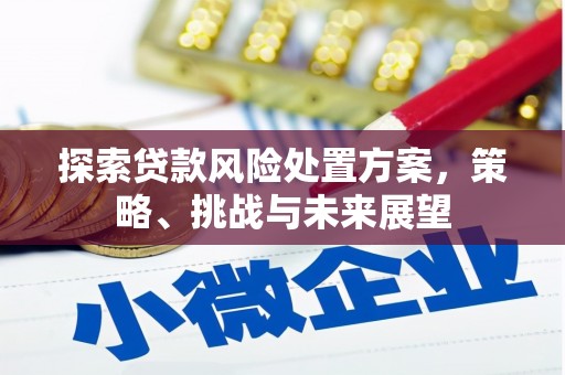 枋寮探索贷款风险处置方案，策略、挑战与未来展望