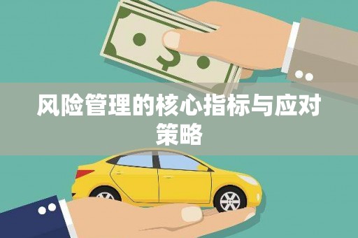 枋寮风险管理的核心指标与应对策略