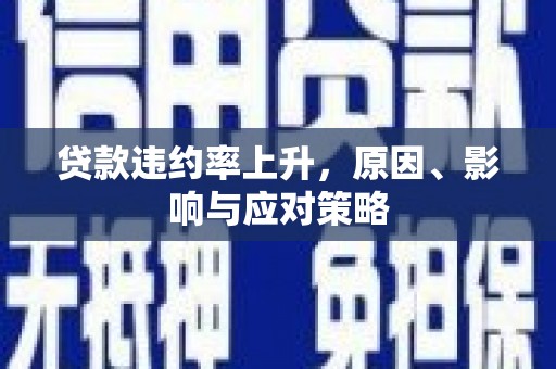 枋寮贷款违约率上升，原因、影响与应对策略