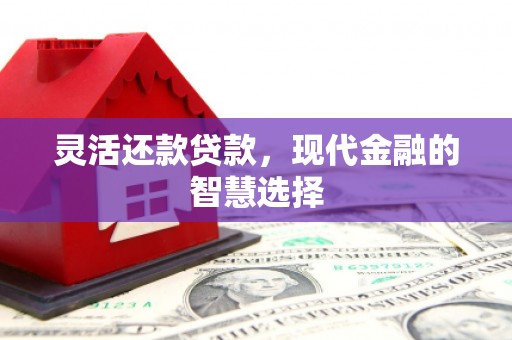 枋寮灵活还款贷款，现代金融的智慧选择