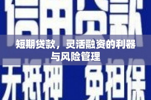枋寮短期贷款，灵活融资的利器与风险管理