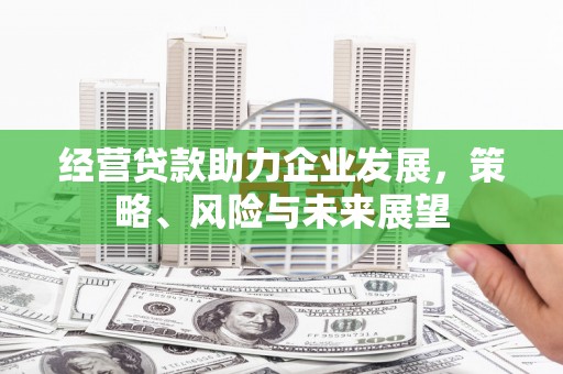枋寮经营贷款助力企业发展，策略、风险与未来展望