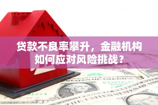 枋寮贷款不良率攀升，金融机构如何应对风险挑战？