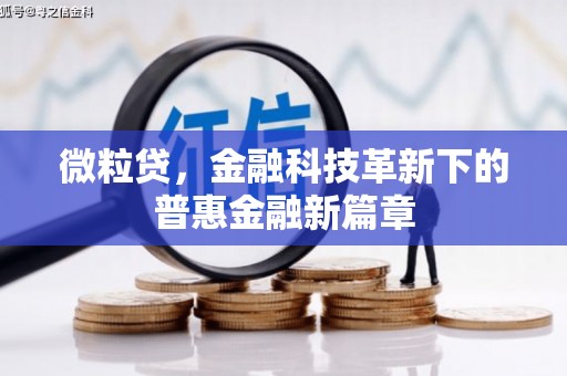 枋寮微粒贷，金融科技革新下的普惠金融新篇章
