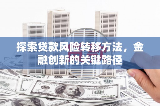 枋寮探索贷款风险转移方法，金融创新的关键路径