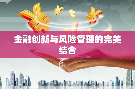 枋寮金融创新与风险管理的完美结合
