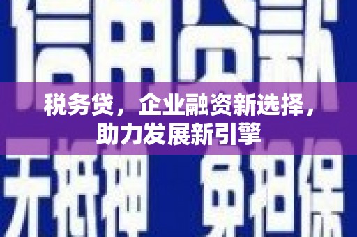 枋寮税务贷，企业融资新选择，助力发展新引擎