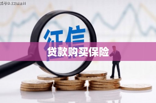 枋寮贷款购买保险