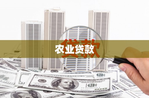 枋寮农业贷款