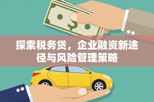 枋寮探索税务贷，企业融资新途径与风险管理策略