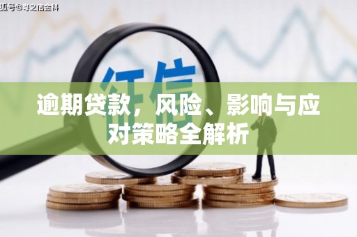 枋寮逾期贷款，风险、影响与应对策略全解析