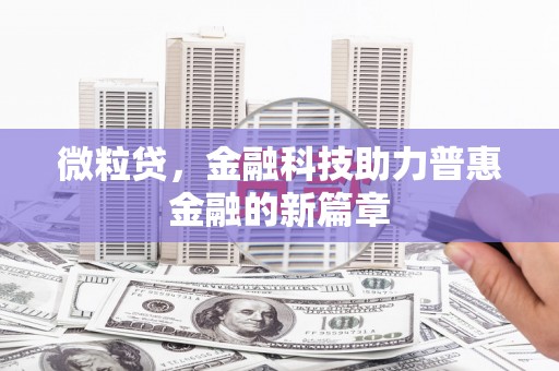 枋寮微粒贷，金融科技助力普惠金融的新篇章