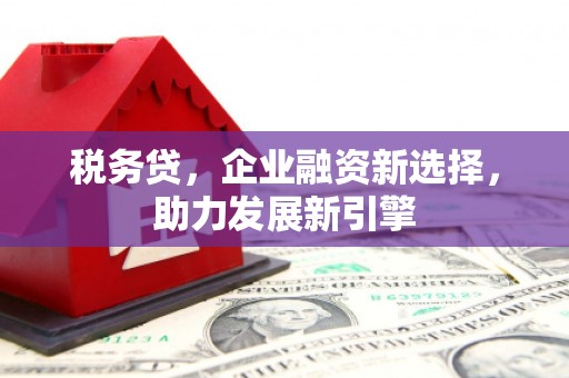 枋寮税务贷，企业融资新选择，助力发展新引擎