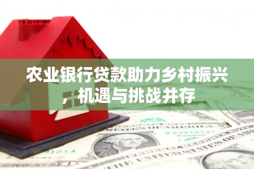 枋寮农业银行贷款助力乡村振兴，机遇与挑战并存