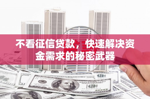 枋寮不看征信贷款，快速解决资金需求的秘密武器