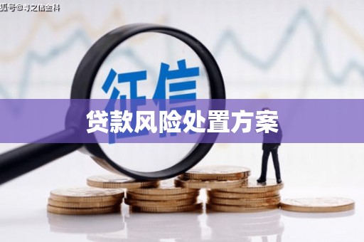枋寮贷款风险处置方案