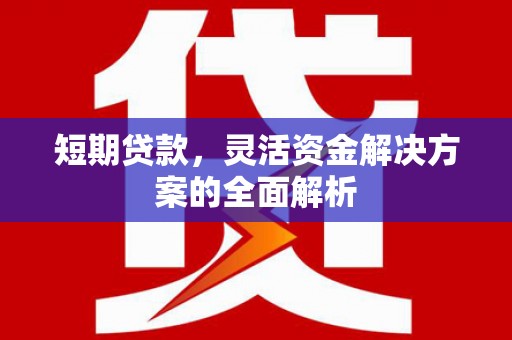 枋寮短期贷款，灵活资金解决方案的全面解析