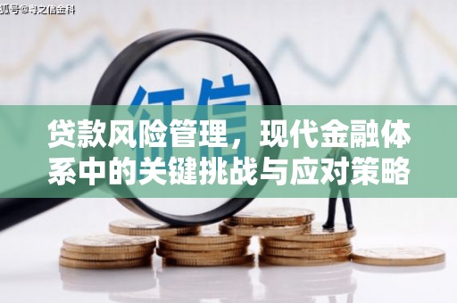 枋寮贷款风险管理，现代金融体系中的关键挑战与应对策略