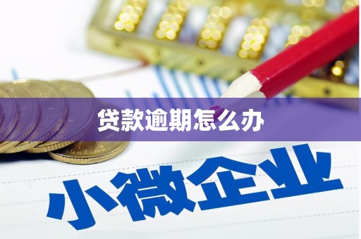 枋寮贷款逾期怎么办