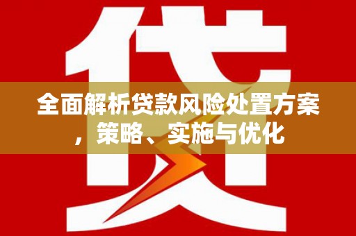 枋寮全面解析贷款风险处置方案，策略、实施与优化