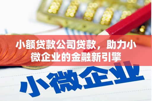 枋寮小额贷款公司贷款，助力小微企业的金融新引擎