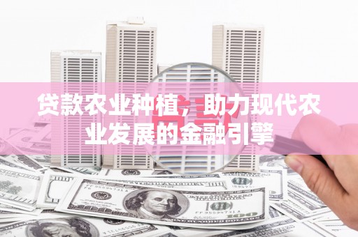 枋寮贷款农业种植，助力现代农业发展的金融引擎