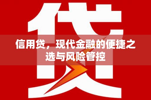 枋寮信用贷，现代金融的便捷之选与风险管控