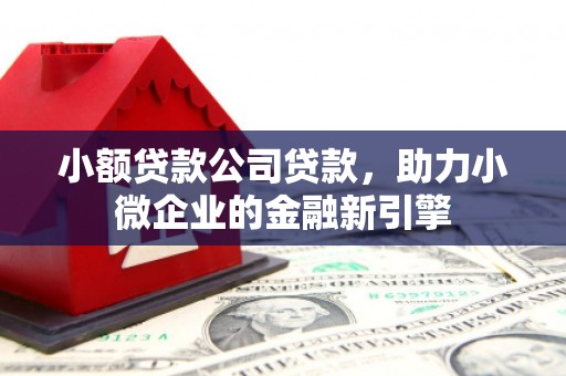 枋寮小额贷款公司贷款，助力小微企业的金融新引擎