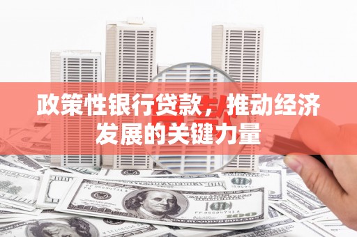 枋寮政策性银行贷款，推动经济发展的关键力量