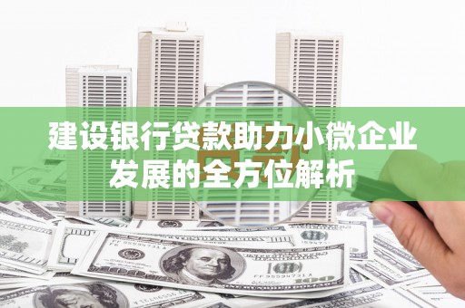 枋寮建设银行贷款助力小微企业发展的全方位解析