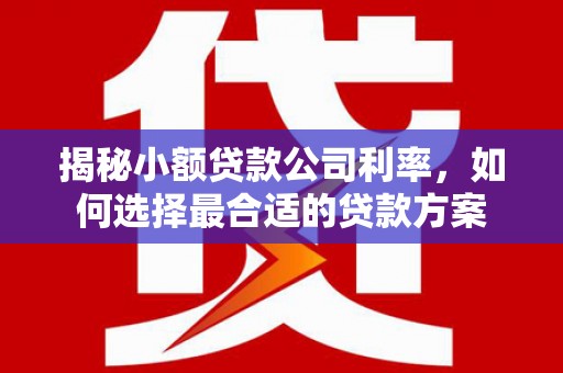 枋寮揭秘小额贷款公司利率，如何选择最合适的贷款方案