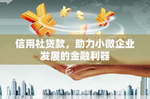 枋寮信用社贷款，助力小微企业发展的金融利器